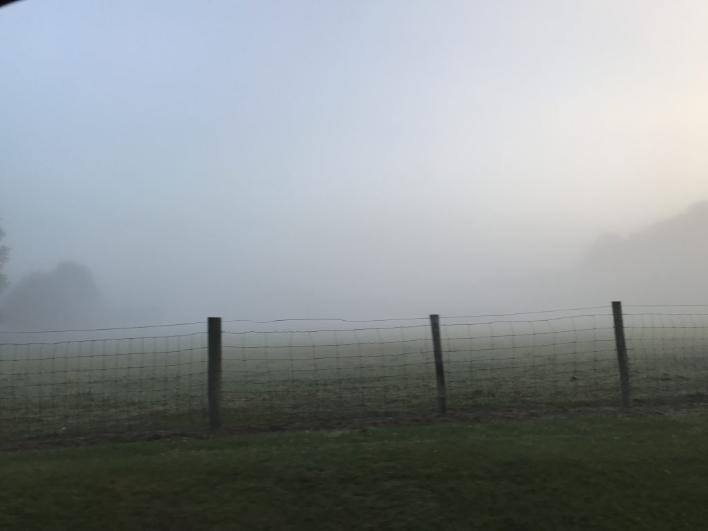 Spring moring Farm Fence in Fog