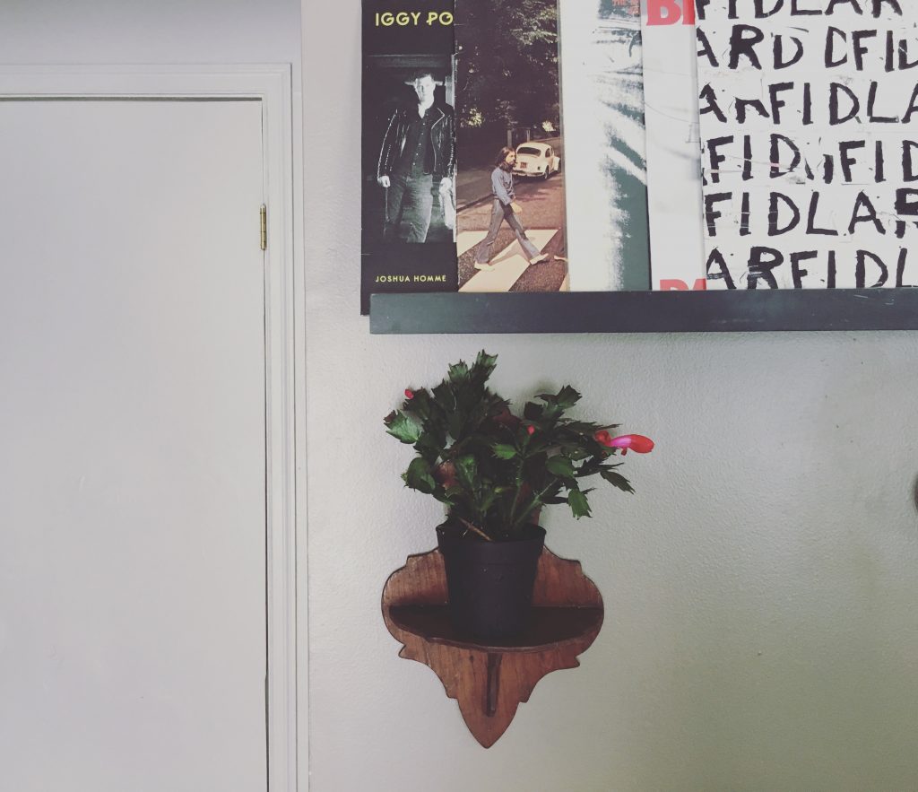 Albums and PlantsAlbums and Plants