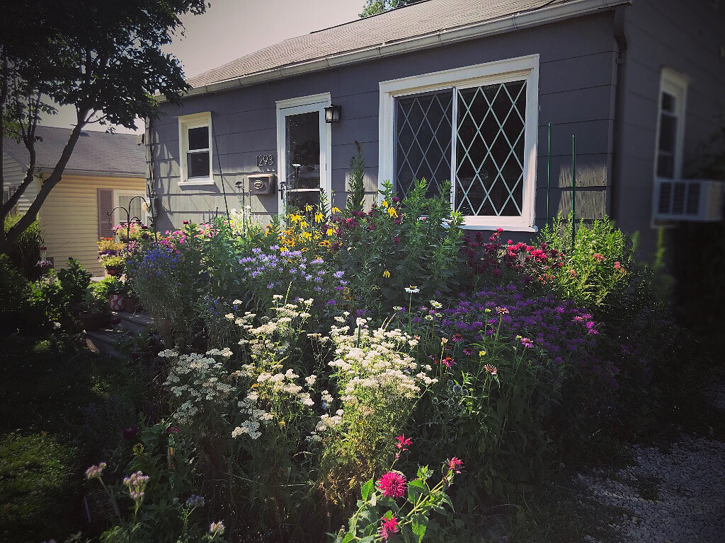 Late June Pollinator Garden in Ohio