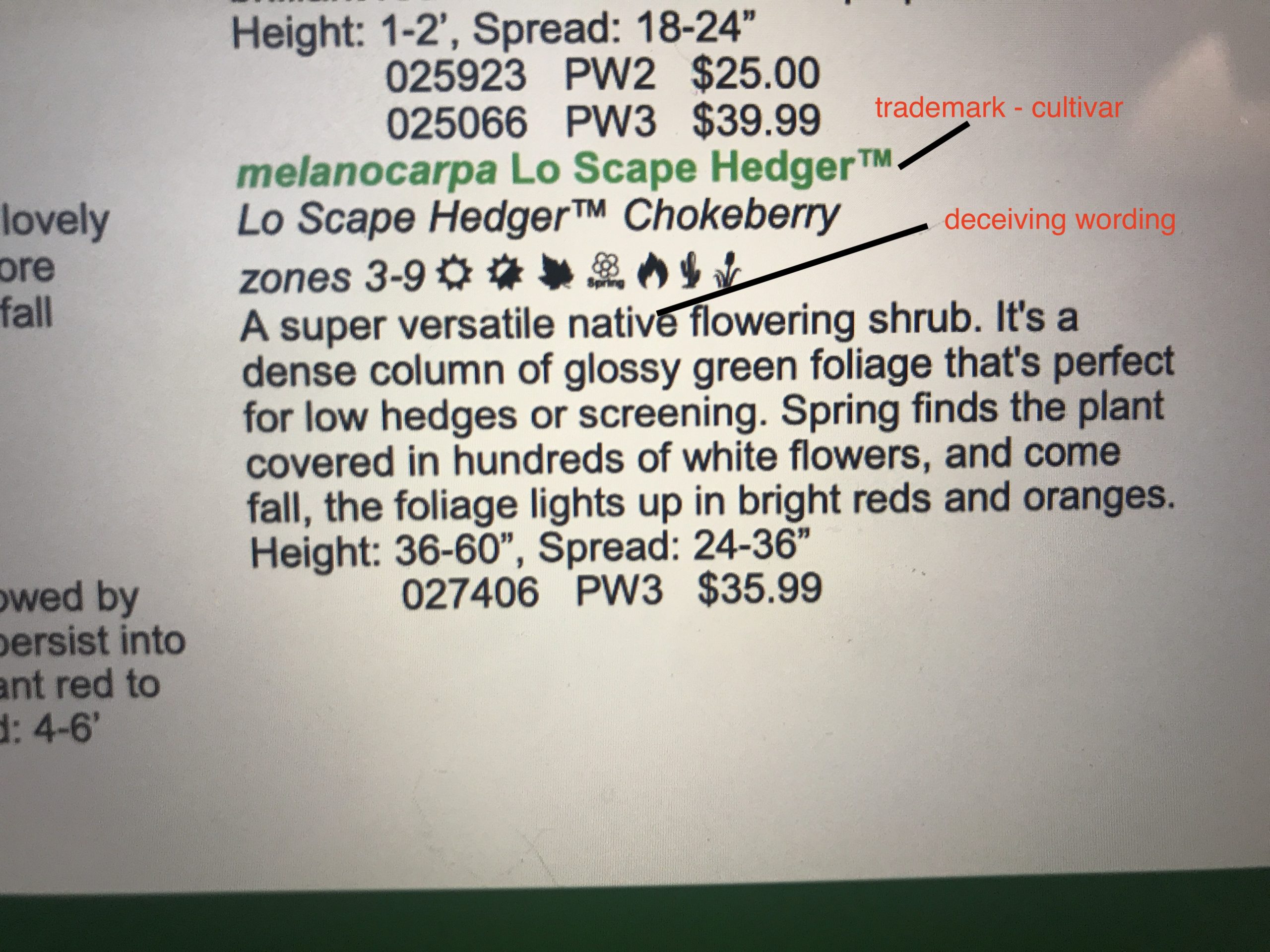 Plant marketed as native when it's a cultivar