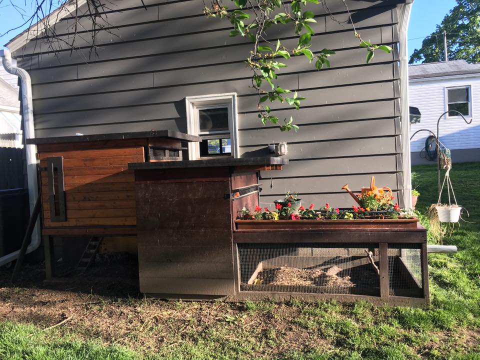 Mid Century Mod Chicken Coop