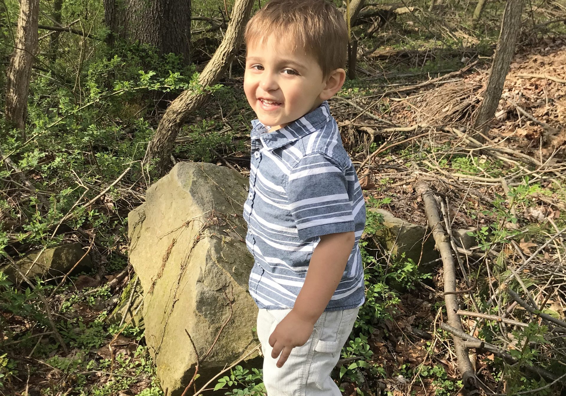 Toddler in woods learning about bugs, bees and butterflies